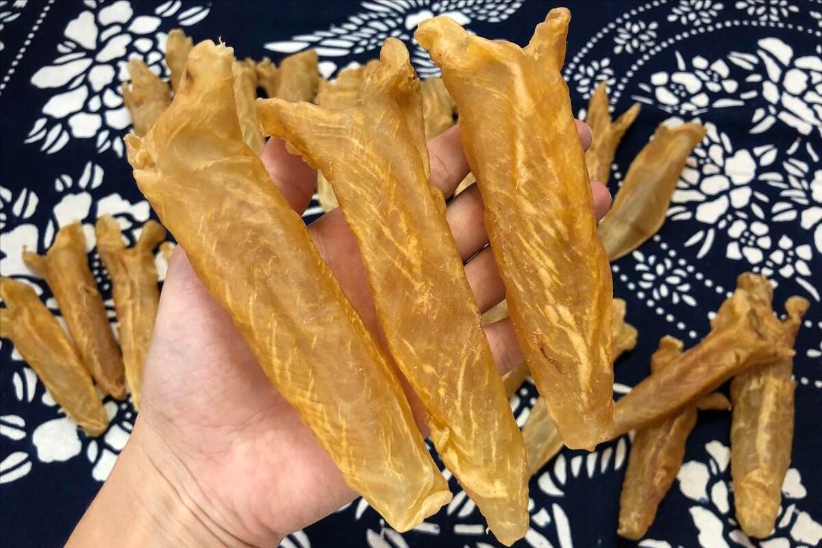 大厨泡花胶的正确做法,快速泡发花胶烹饪小技巧