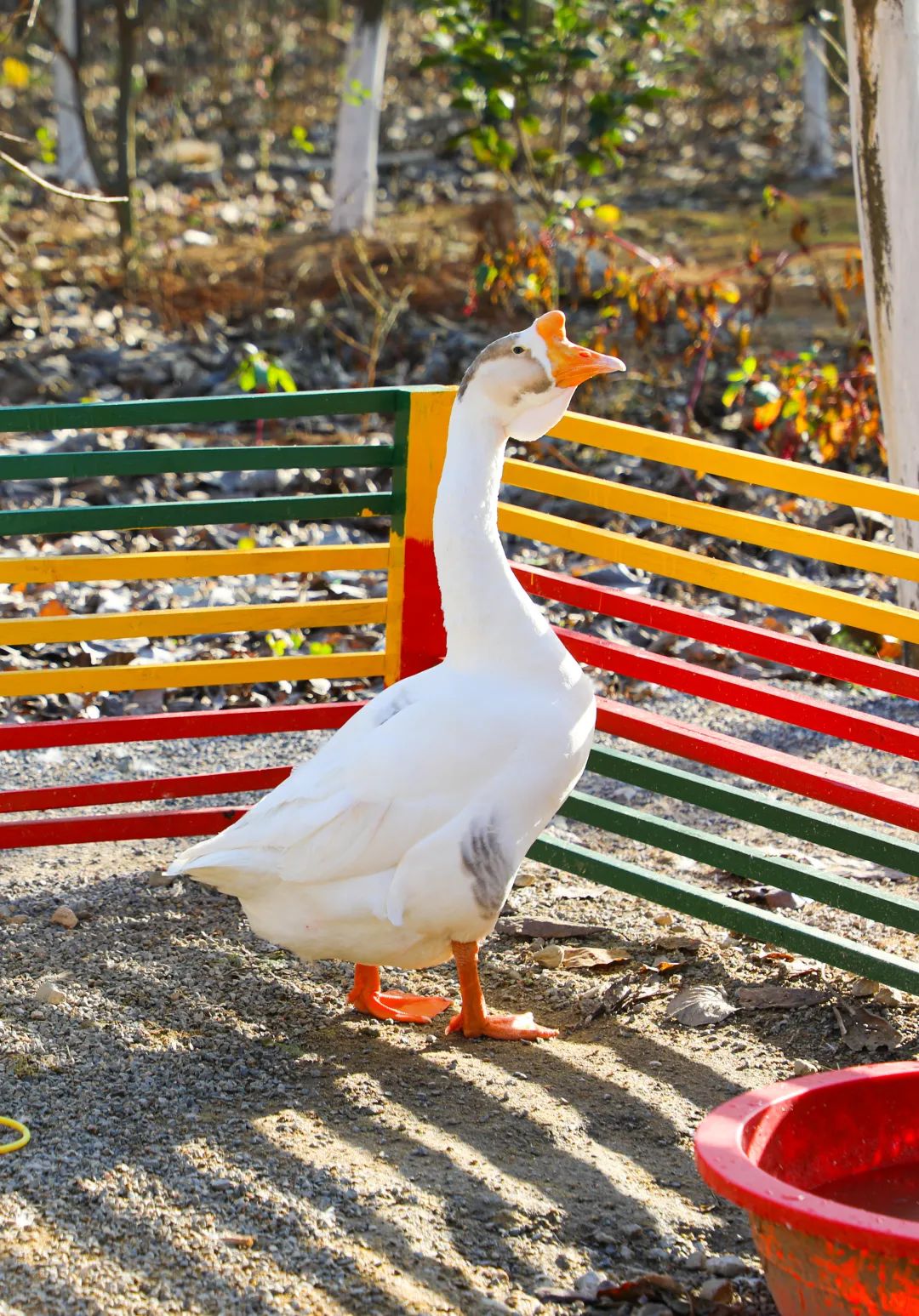 适合春天去的美宿,湖景美宿推荐