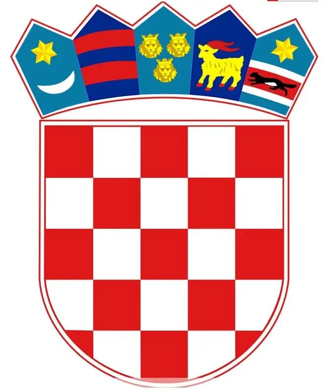 旗开得胜2019冠军表演赛,旗开得胜再创辉煌