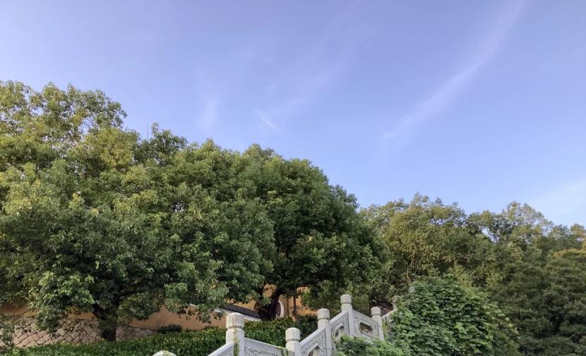 普陀山必去的岛,普陀山出岛后还可以登岛吗