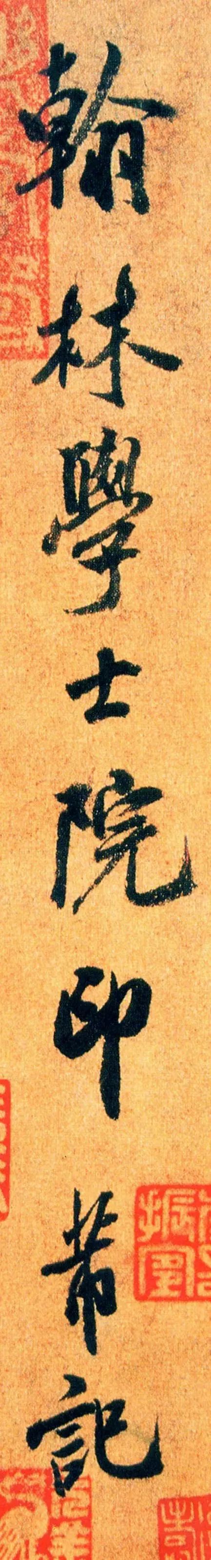 宸ョ瑪鐢绘潹鏅箟鐢诲唽,鏉滈箖鏉ㄦ櫘涔夊畬鏁寸増