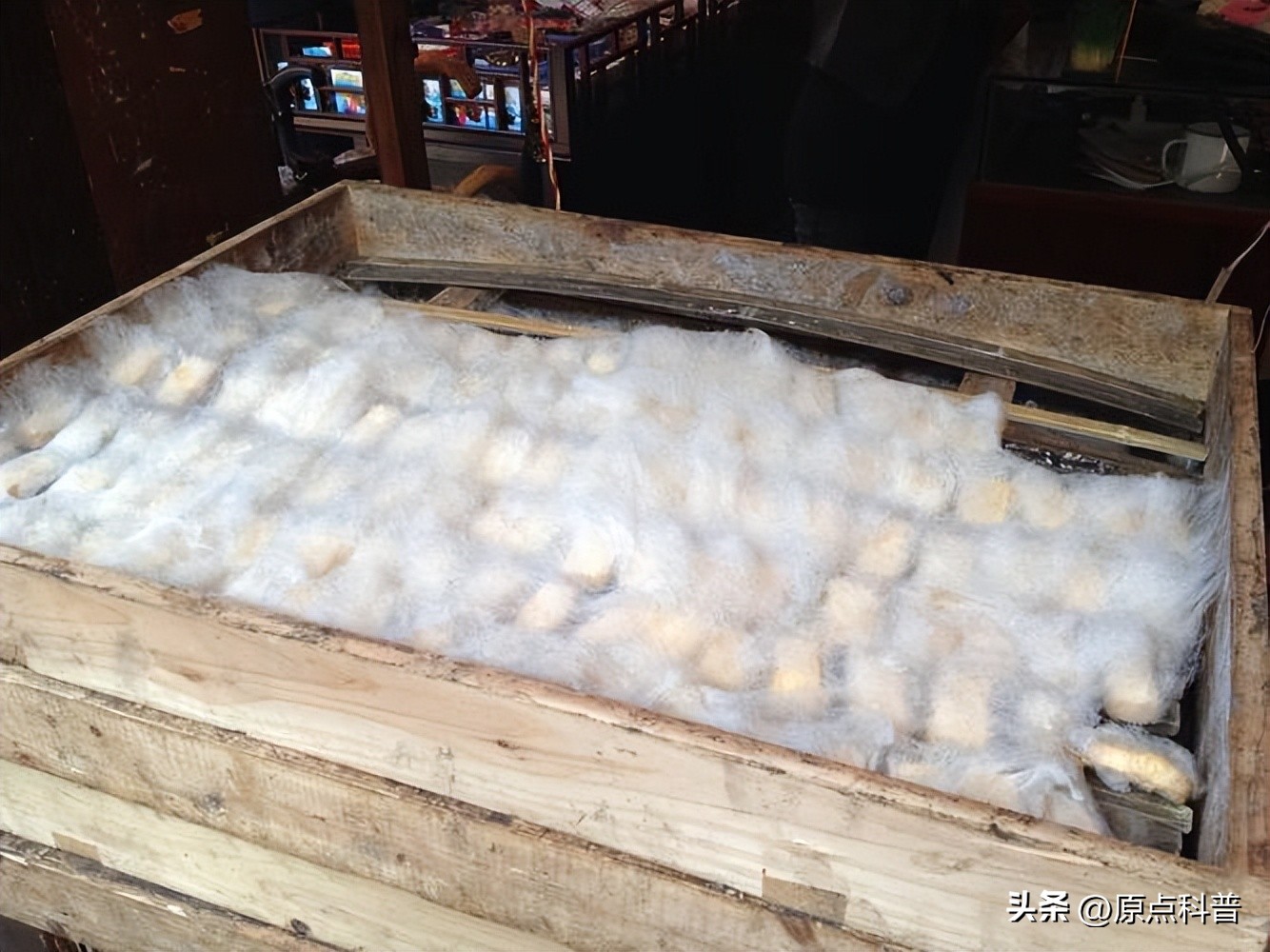 有哪些特色美食只有当地人才知道,全国各地的奇葩美食