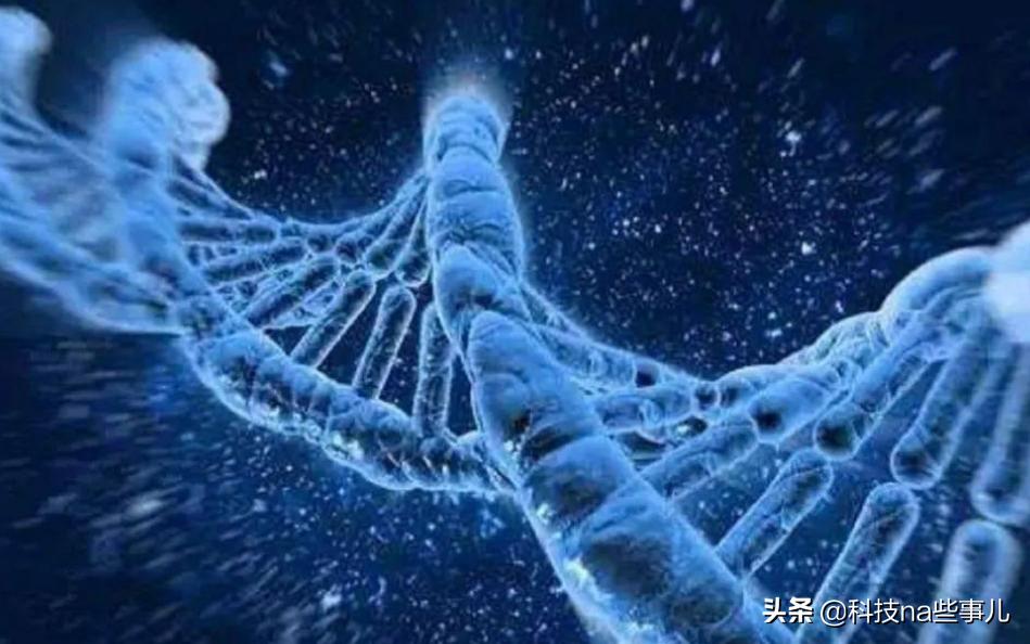 基因具有差异性？中国人和非洲人的基因差异值得考究