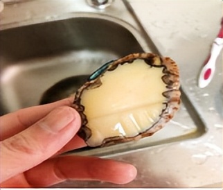 月子吃鲍鱼的最佳时间,产妇月子里什么时间可以吃鲍鱼