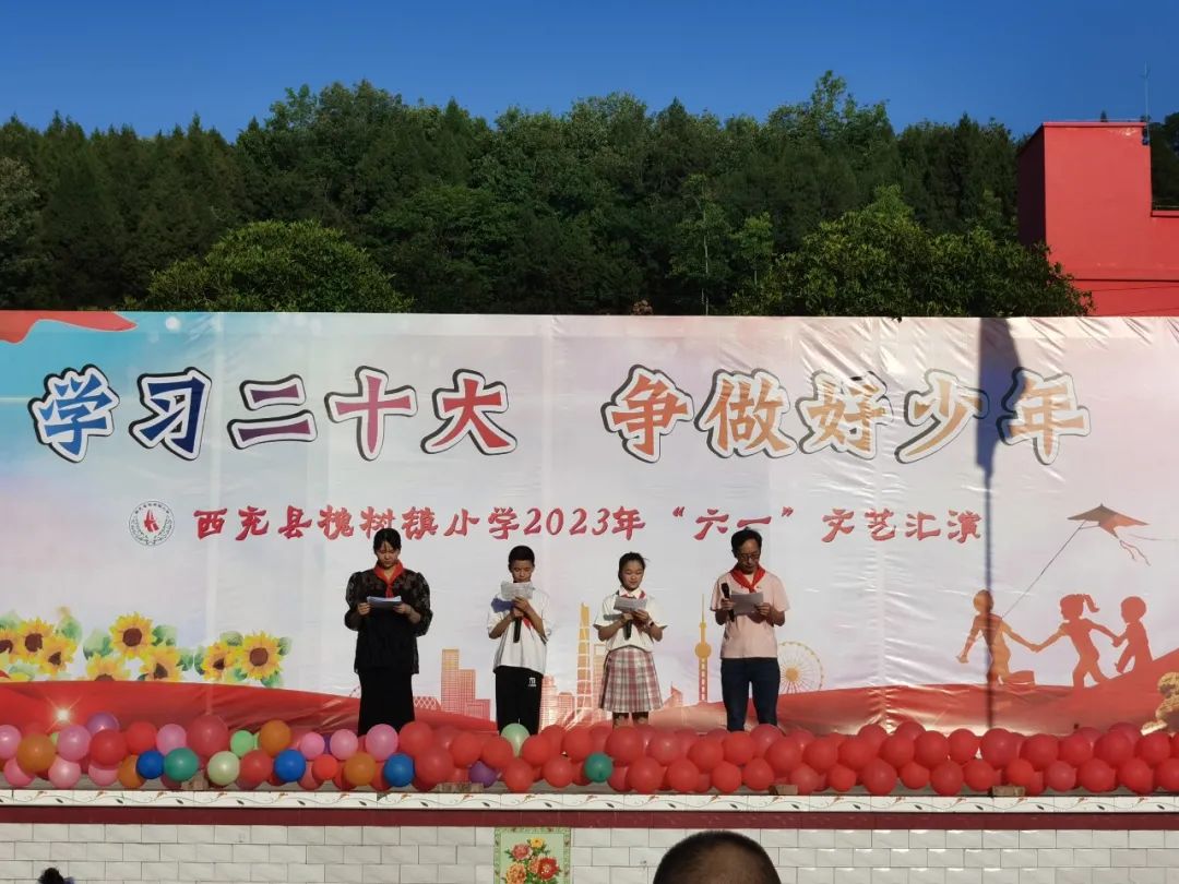 西充县槐树镇小学：学习二十大，争做好少年