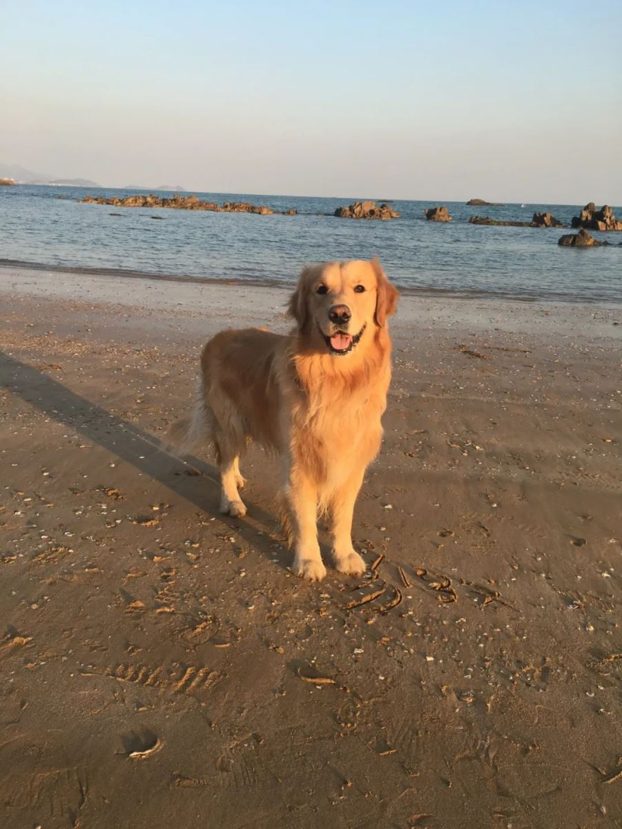 要对你怎么宠爱才叫依赖,想要对你疼爱变成了依赖