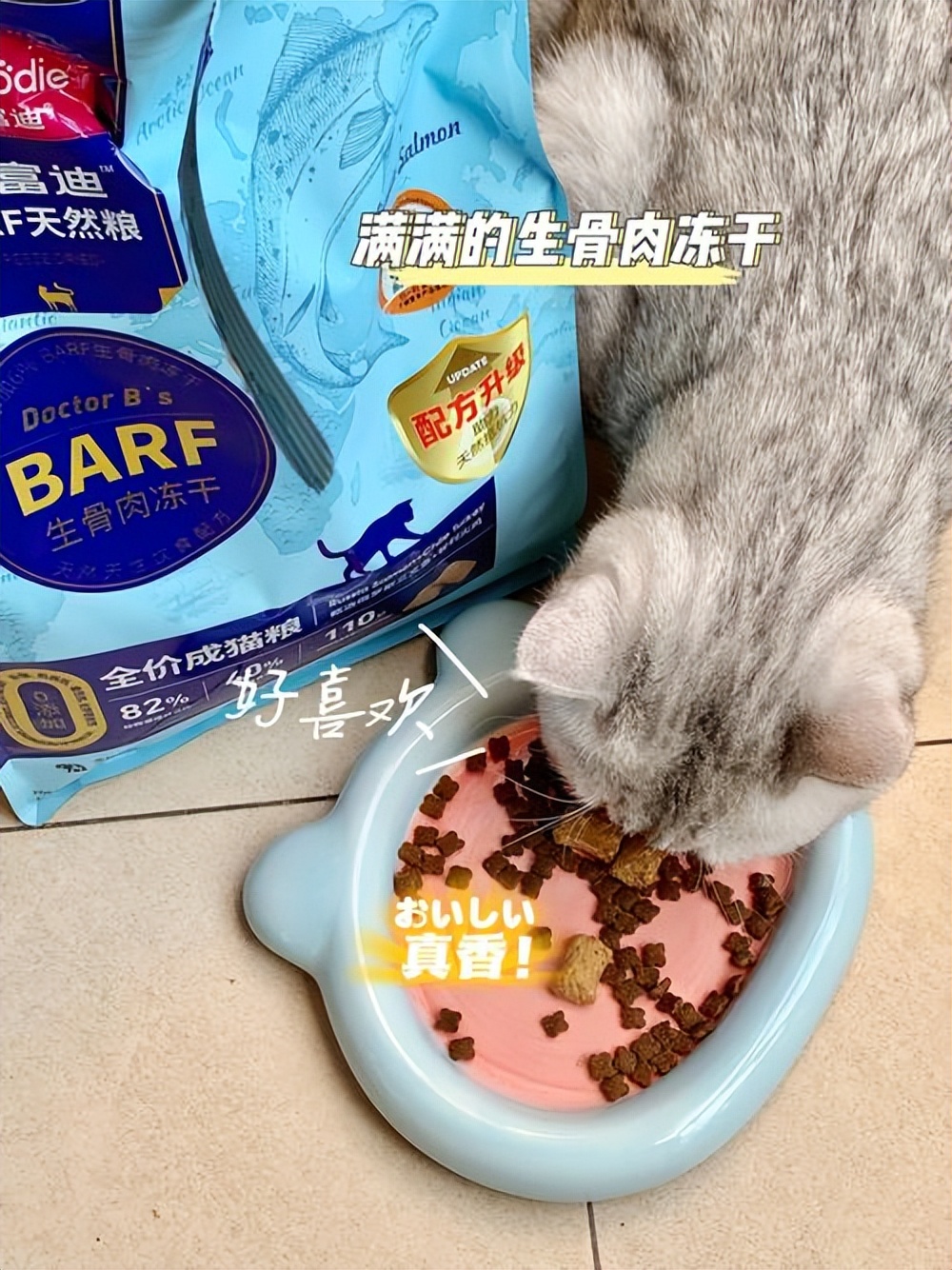 馋不腻猫粮口碑为什么那么好,口碑最好的十大猫粮排名榜测评