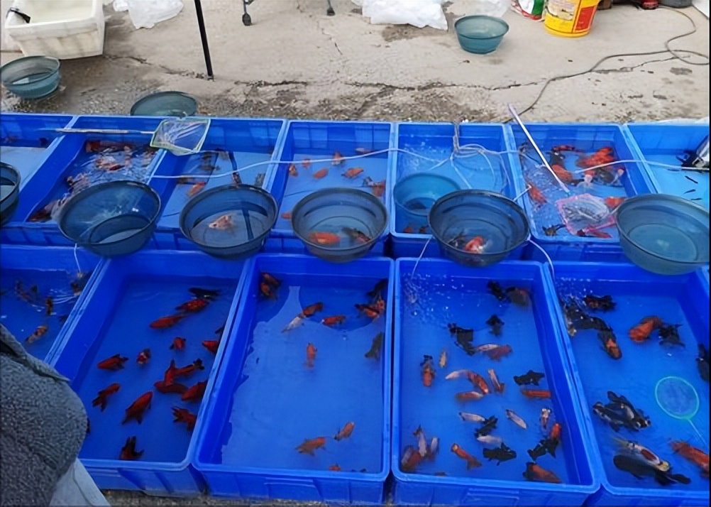 2005年河南男人寻亲未果,男人寻亲30年未果寻找弟弟和母亲