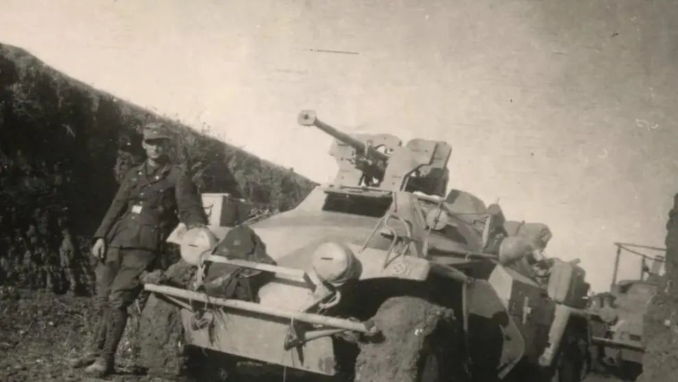 听说F系“振金轮胎”天下无敌？那是你没见过D系“大八轮”！