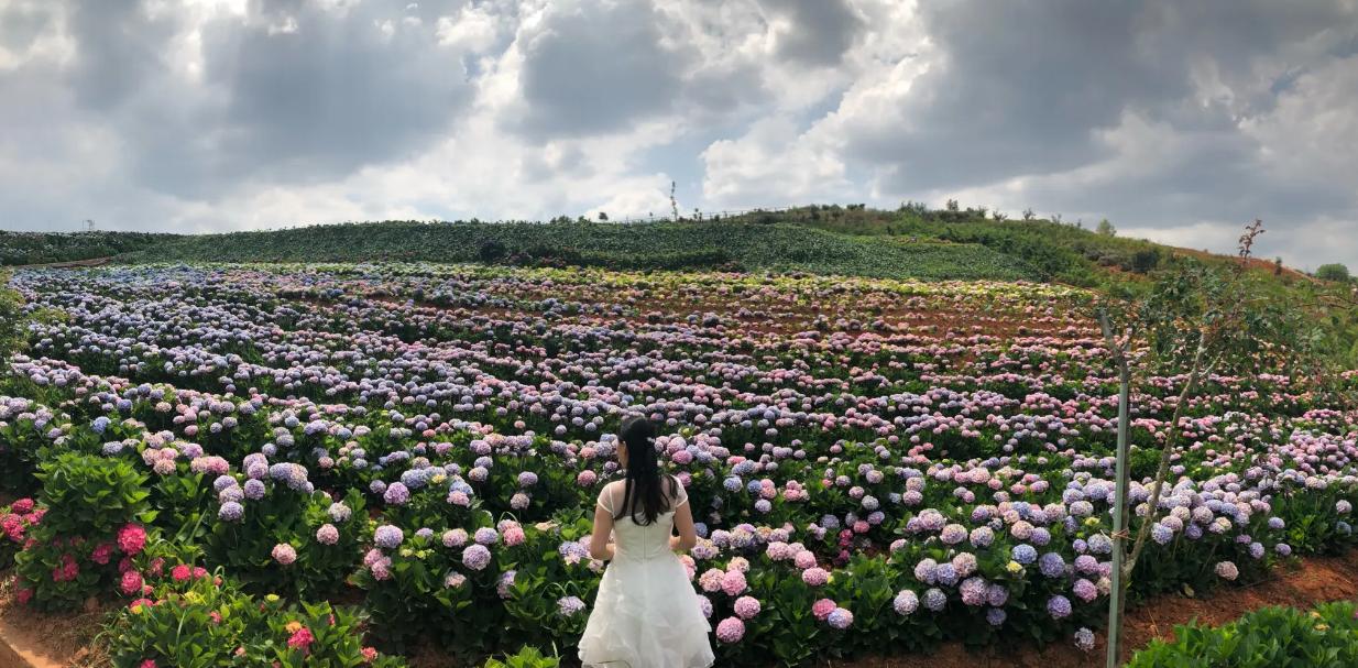 阳宗为什么要修高铁站,我国最心酸的高铁站阳宗站