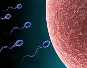 重度少弱精子症,死精子症中医怎么治疗