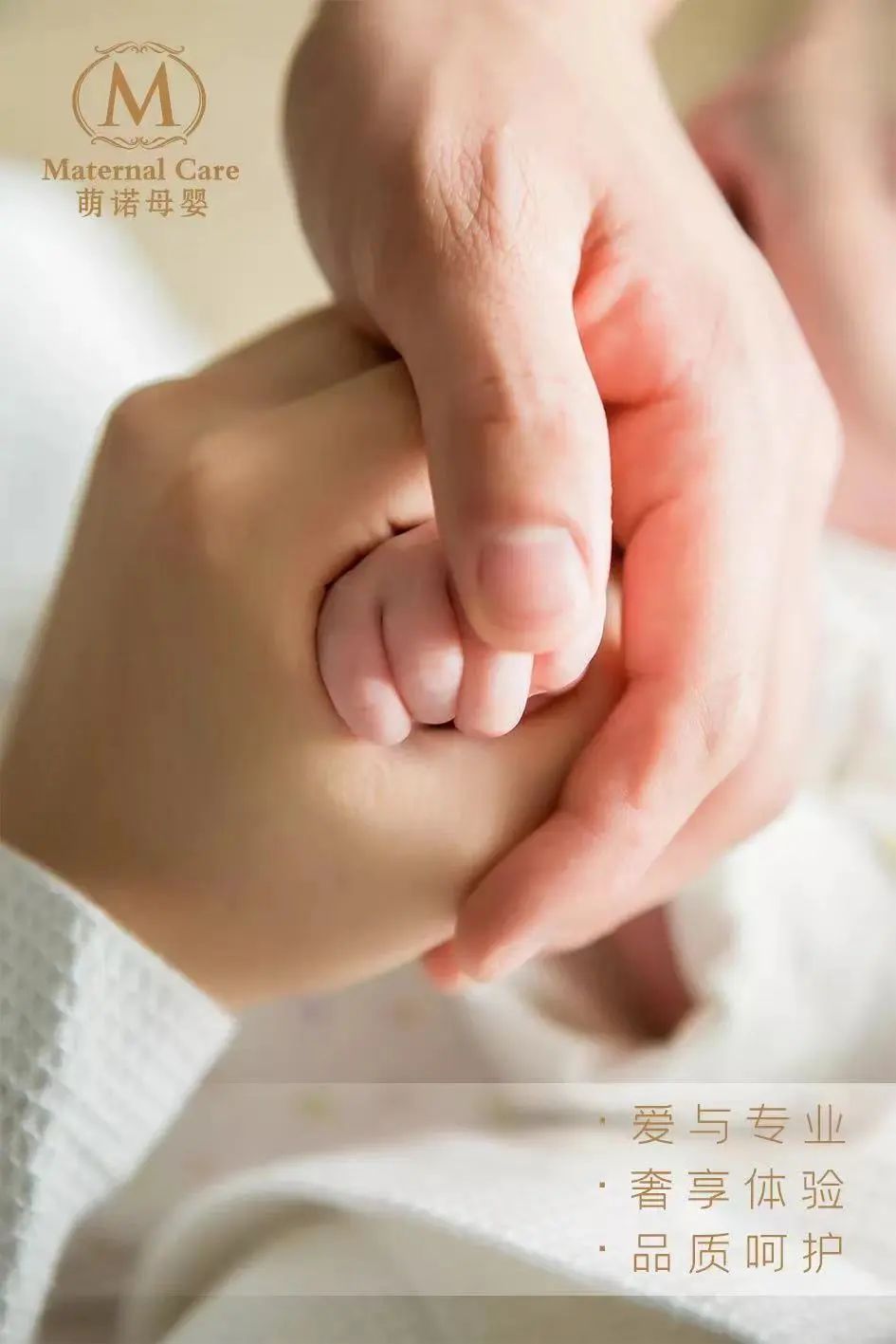 娴庡崡钀岃鏈堝瓙涓績鎺㈠簵,娴庡崡钀岃