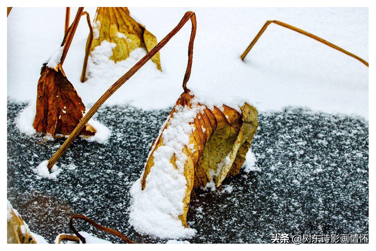 带有春的古诗名句飞花令,飞花令带春字的诗100句