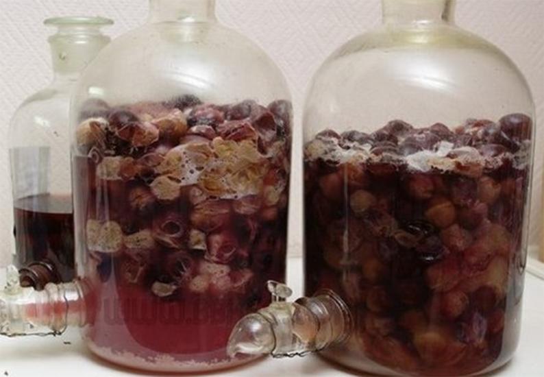 自酿葡萄酒老公喝中毒,自酿葡萄酒喝出人命