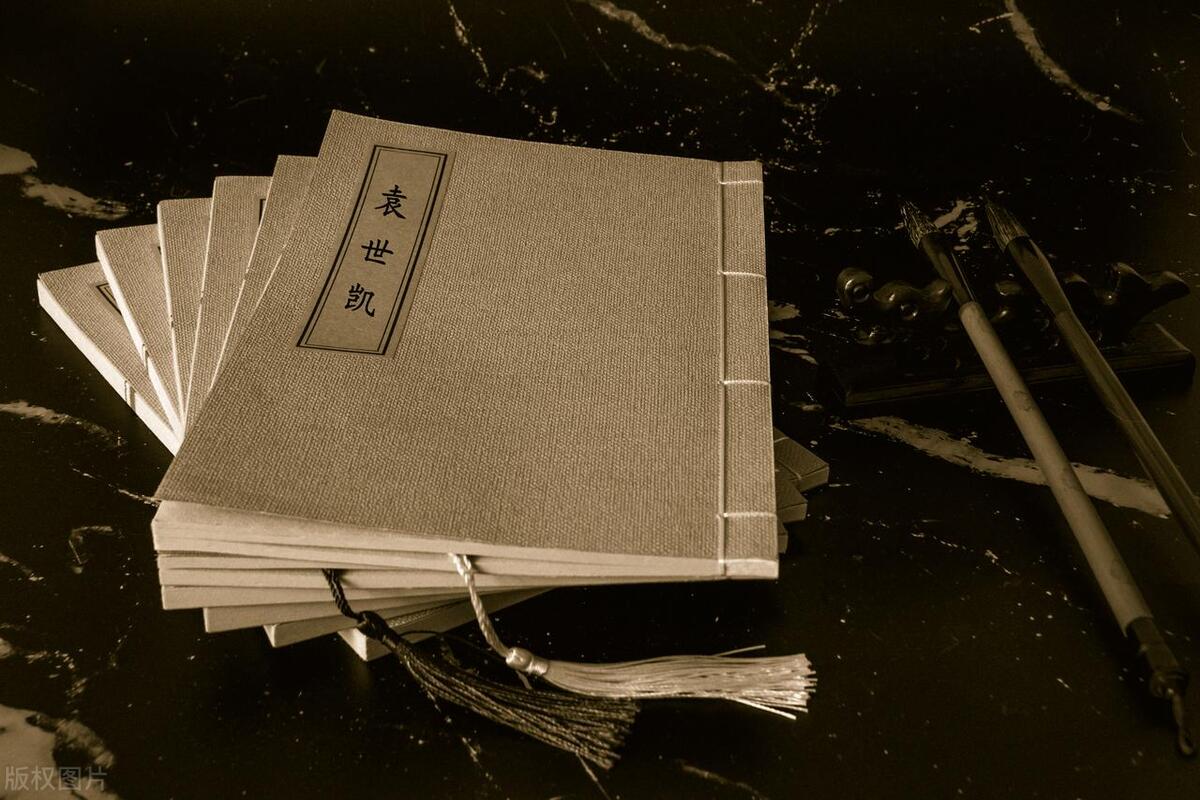 袁世凯与清朝末日：从保皇到称帝的权力游戏