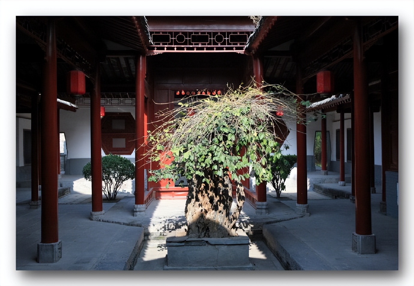 李靖故居研学,李靖故居全部视频