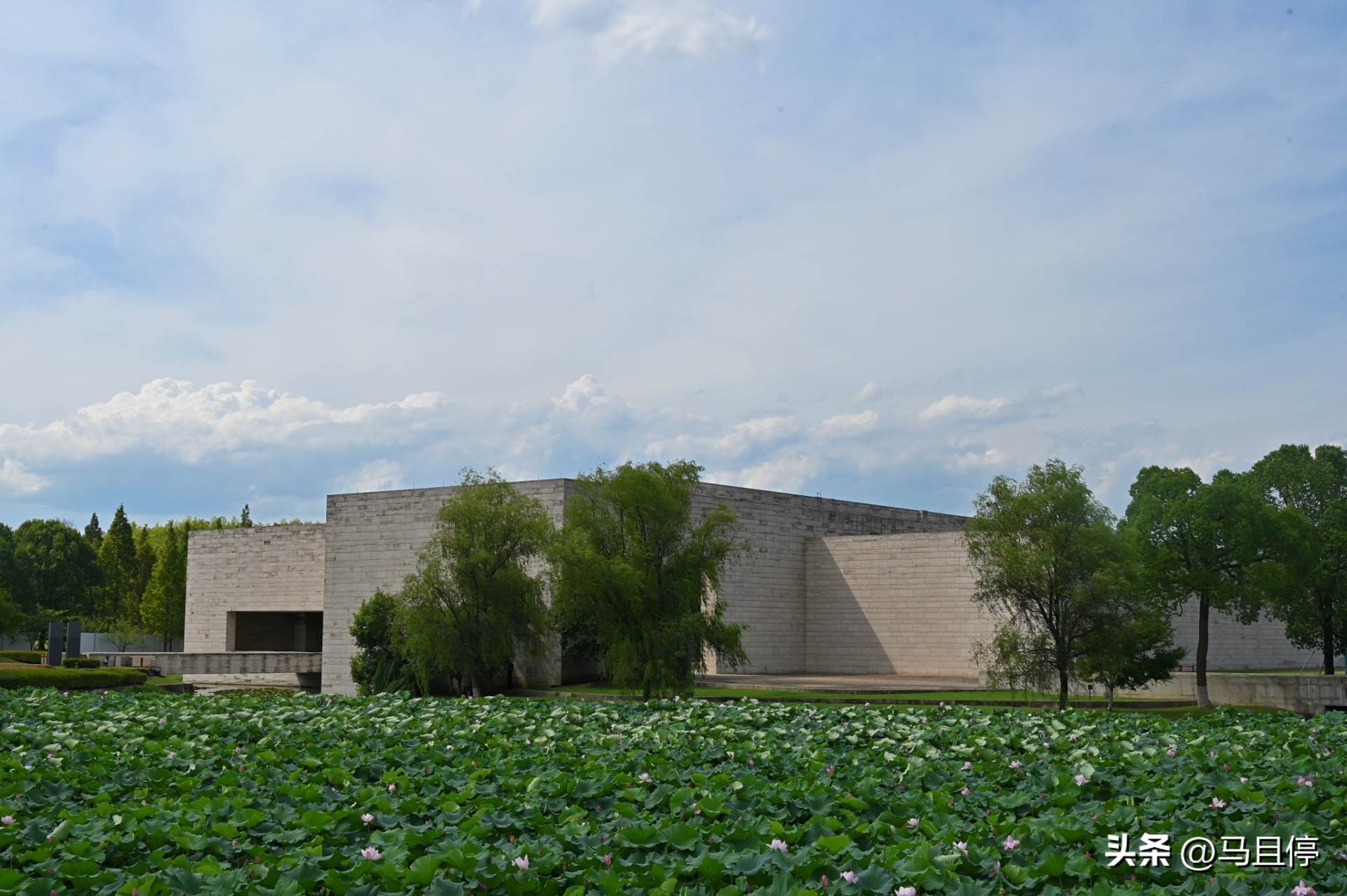 良渚古城5000年前的城,良渚古城5000年文明