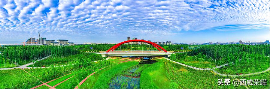 从一张张蓝图到一栋栋建筑,从蓝图到实景未来之城拔地而起