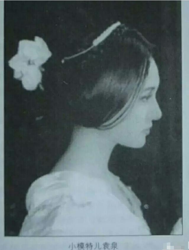 袁泉6根钢钉,袁泉走红毯打了多少明星的脸