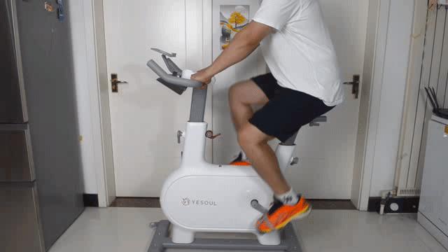 野小兽动感单车m1ev和m2什么区别,高效低冲击燃脂