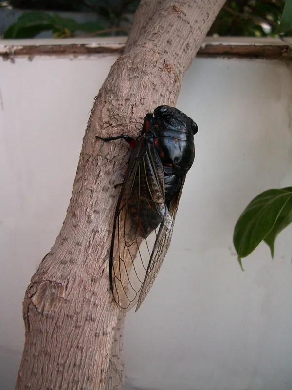 怀念90年代的回忆,80年代90年代满满的回忆