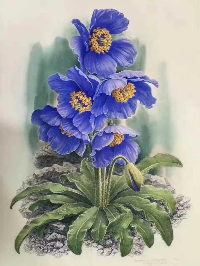 dior鏈嶈鍚勪釜鏃舵湡椋庢牸鐗瑰緛婕斿彉,dior50骞翠唬鏈嶈鐗硅壊