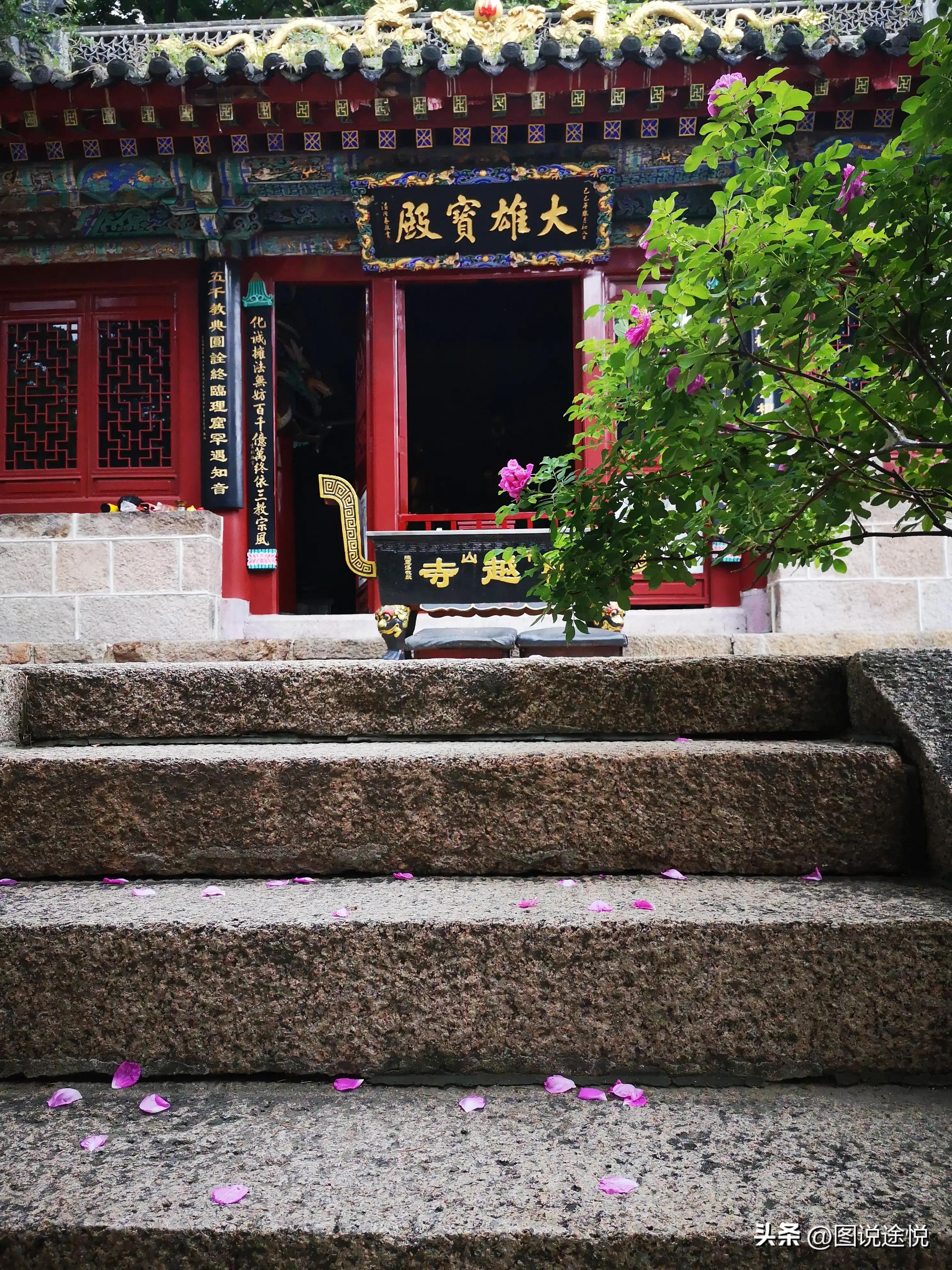 康熙时期皇家寺院,康熙王朝康熙得了天花片段