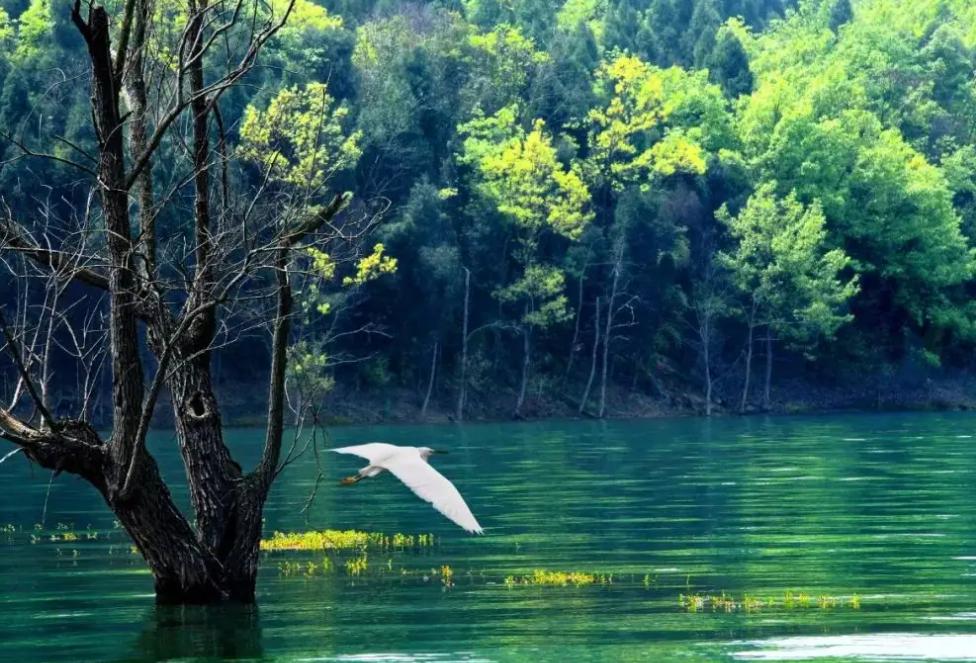 春回夏至秋到冬来的古人诗词,25首夏至诗词送你一夏清凉