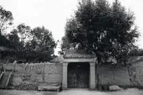 散文老家小院,怀念老家的散文