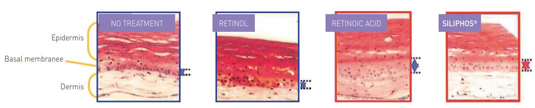 脆皮鸡没有麦芽糖,脆皮鸡不用麦芽糖可以吗