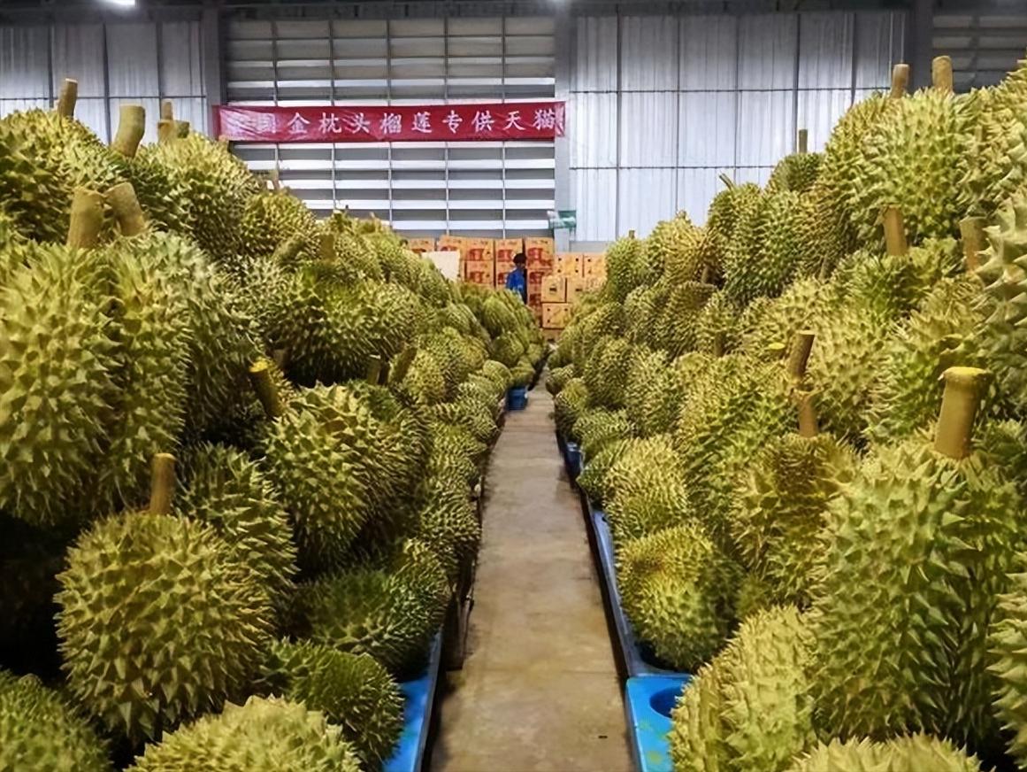 水果价格断崖式下跌,水果榴莲最低价