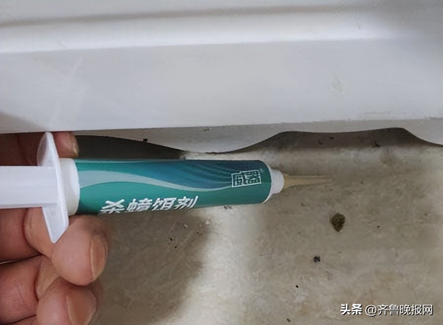 出现一只蟑螂代表家里很多蟑螂,家里有蟑螂怎么处理有最有效方法