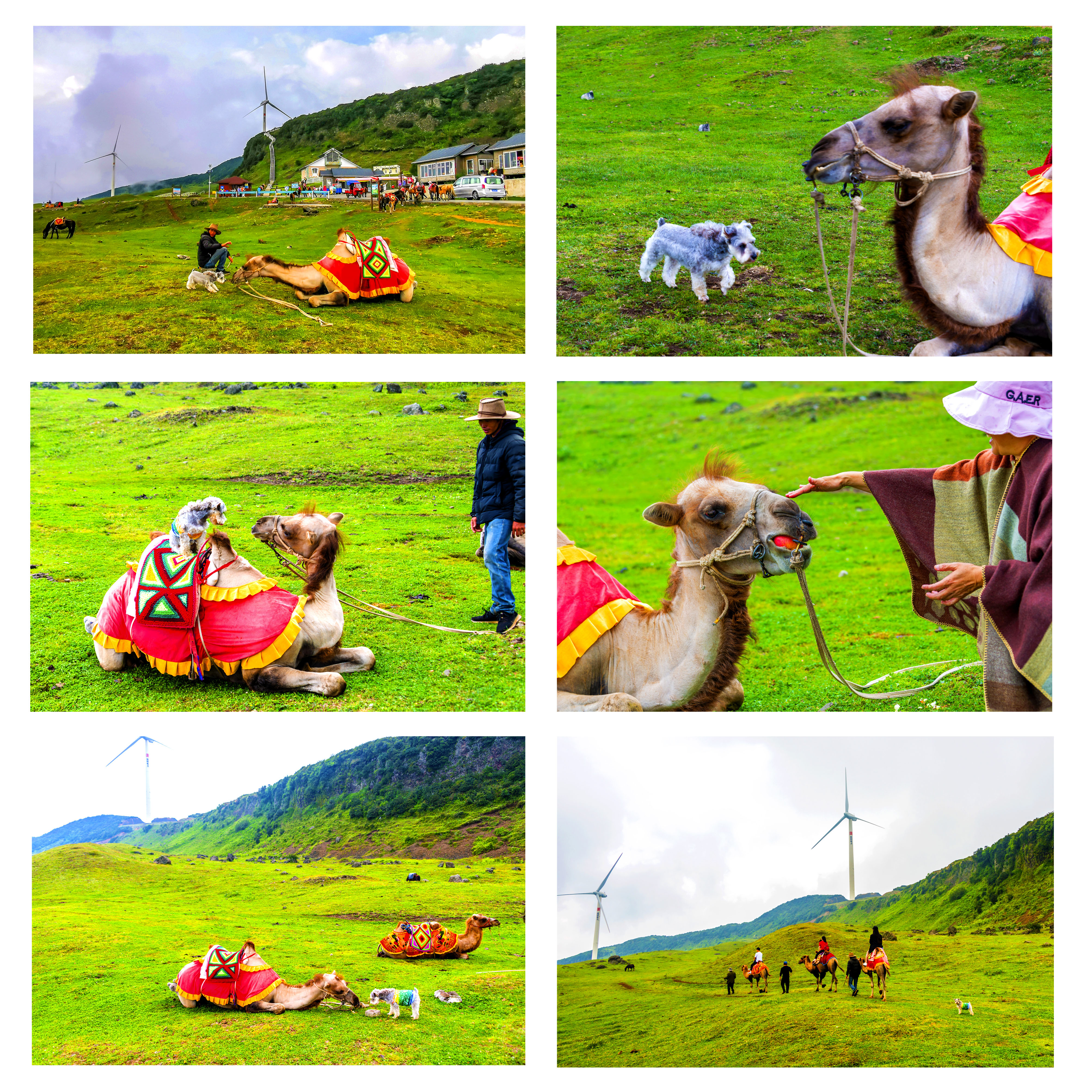 避暑六盘水，秋摄黄果树到北海过冬养老，又是一个小确幸？