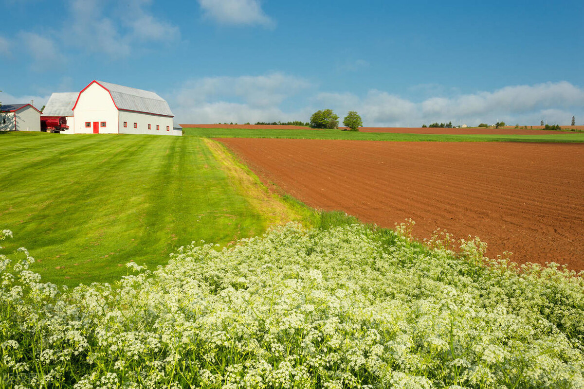 夫妻做生意赔钱靠老人,妻子做生意赔了50万