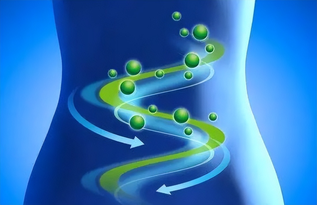 东北酸菜用乳酸菌几天能吃,酸菜里的乳酸菌是怎么样的