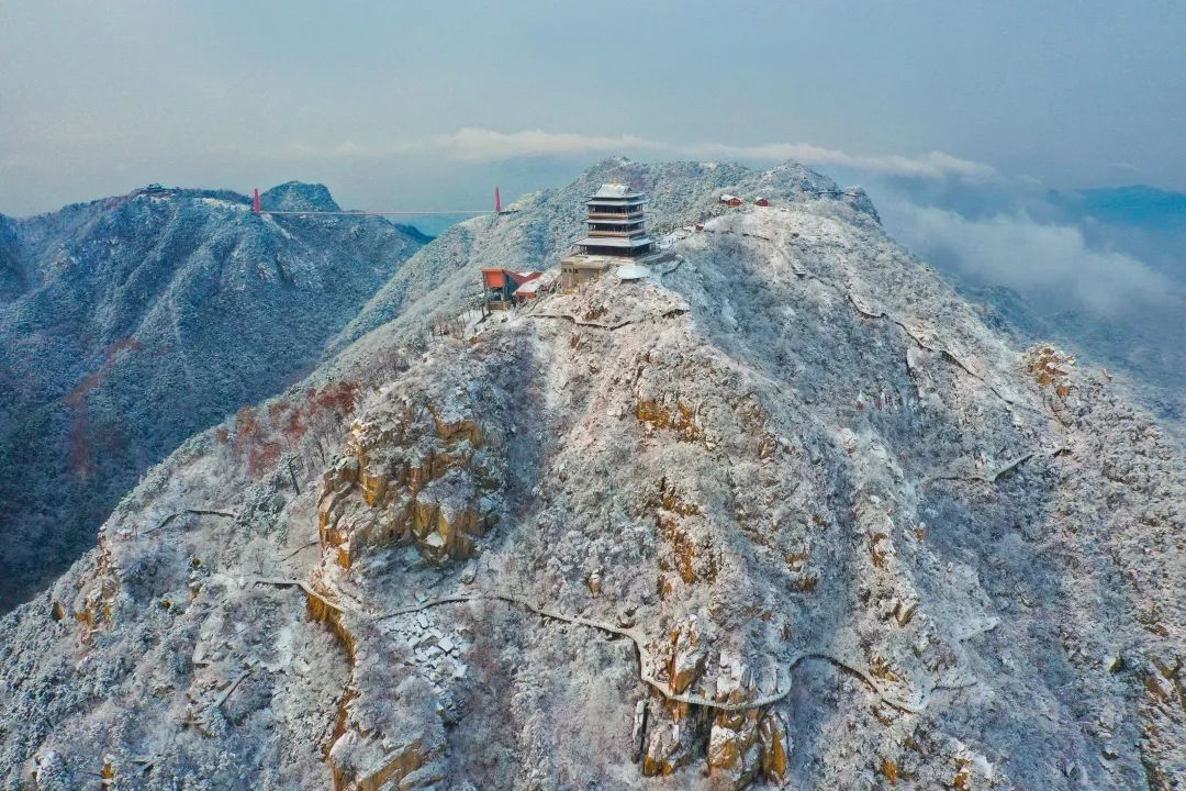 世界杯抢门票活动,竞彩世界杯门票