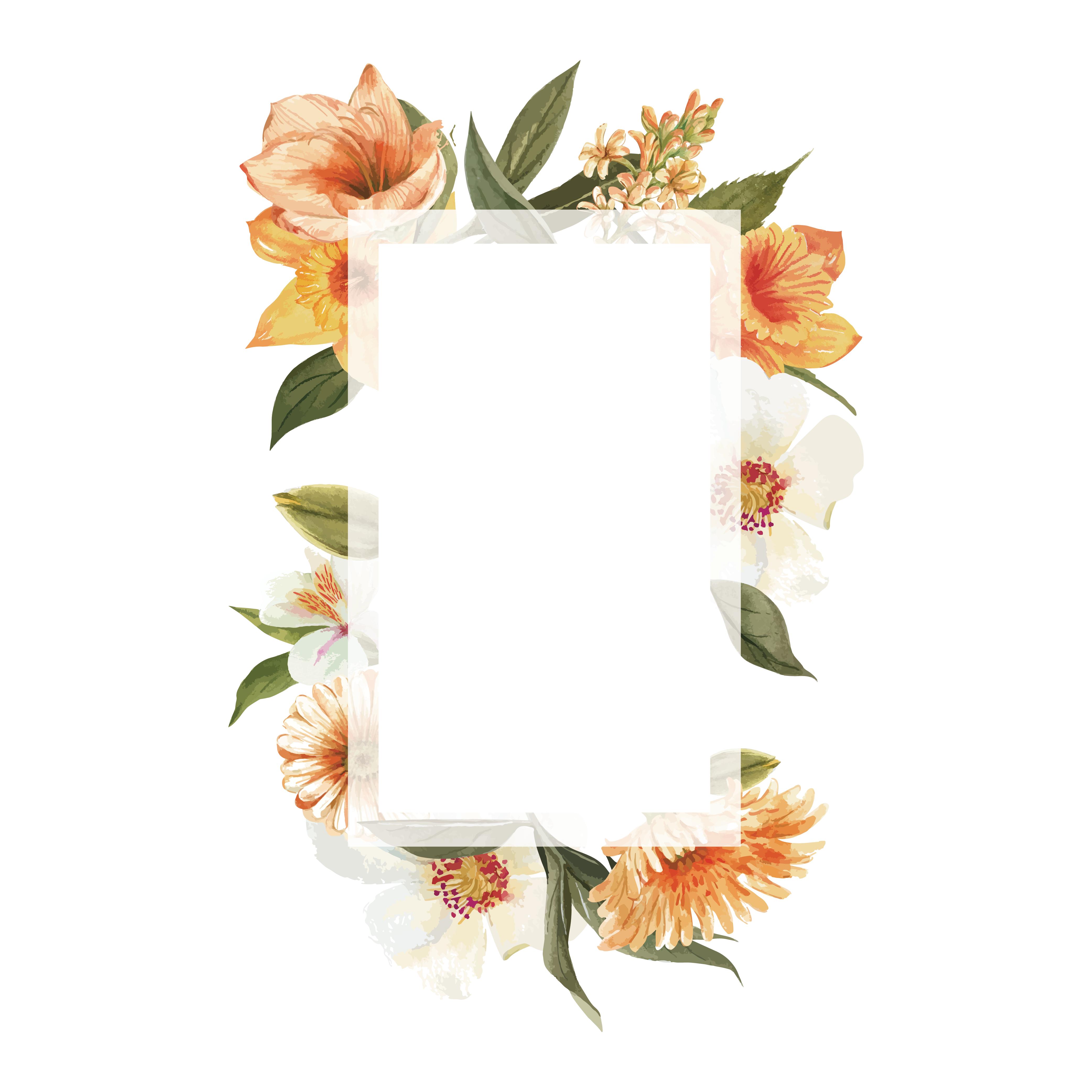 花式边框手绘图片,花式边框设计