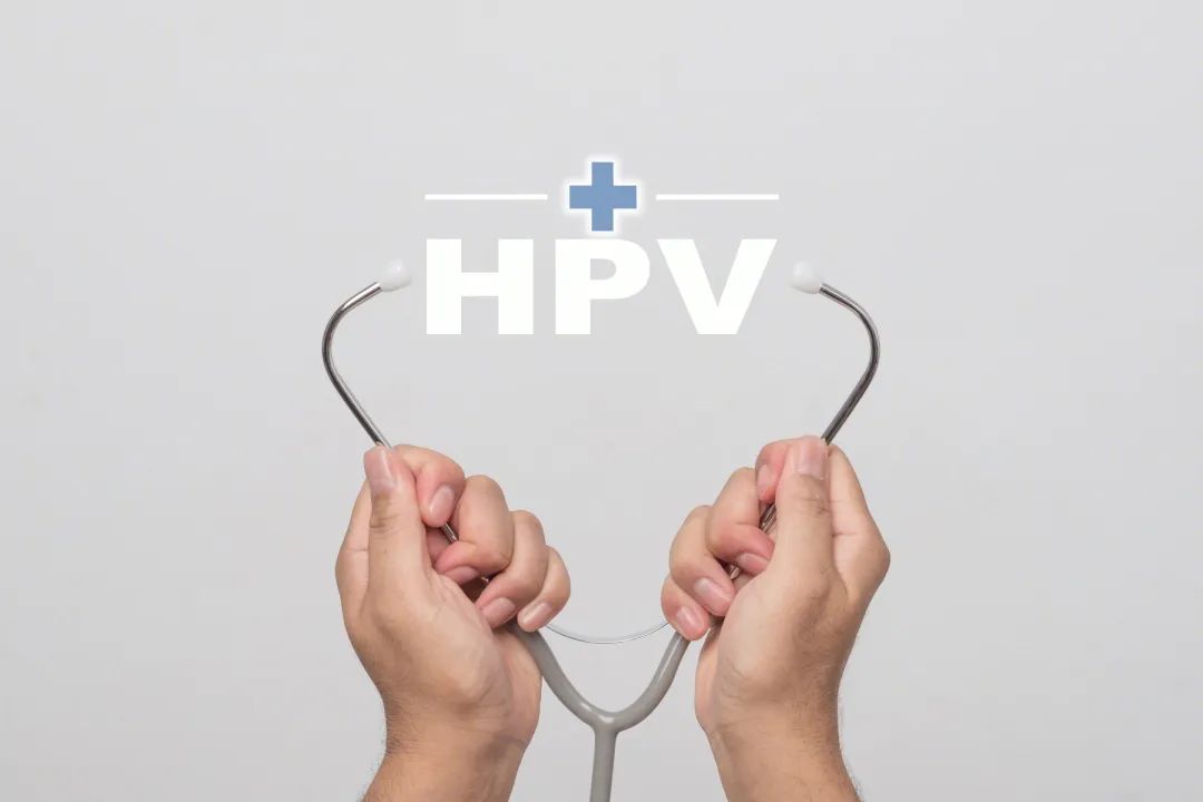感染了hpv怎么治才会好呢,hpv感染诊治专家共识