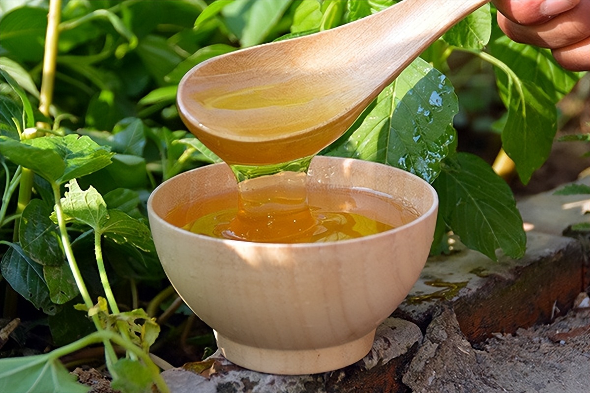 蜂蜜真假辨别方法养蜂人视频,老蜂农演示真蜂蜜的来历