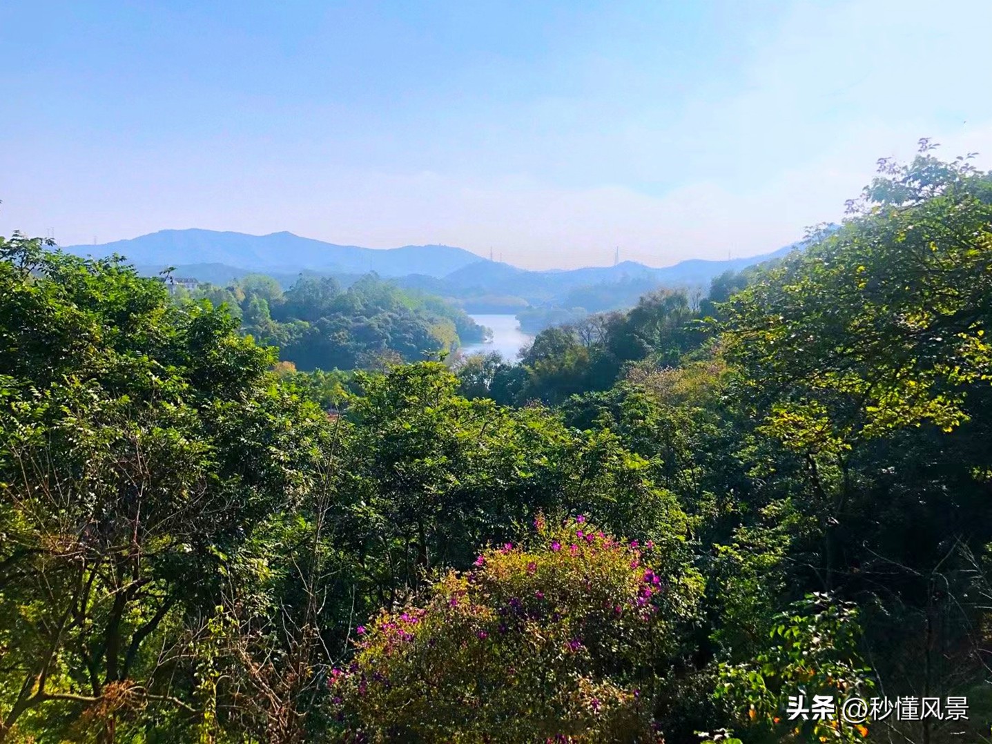 广州周边绿色森林公园拍照,广州市区小众公园景点