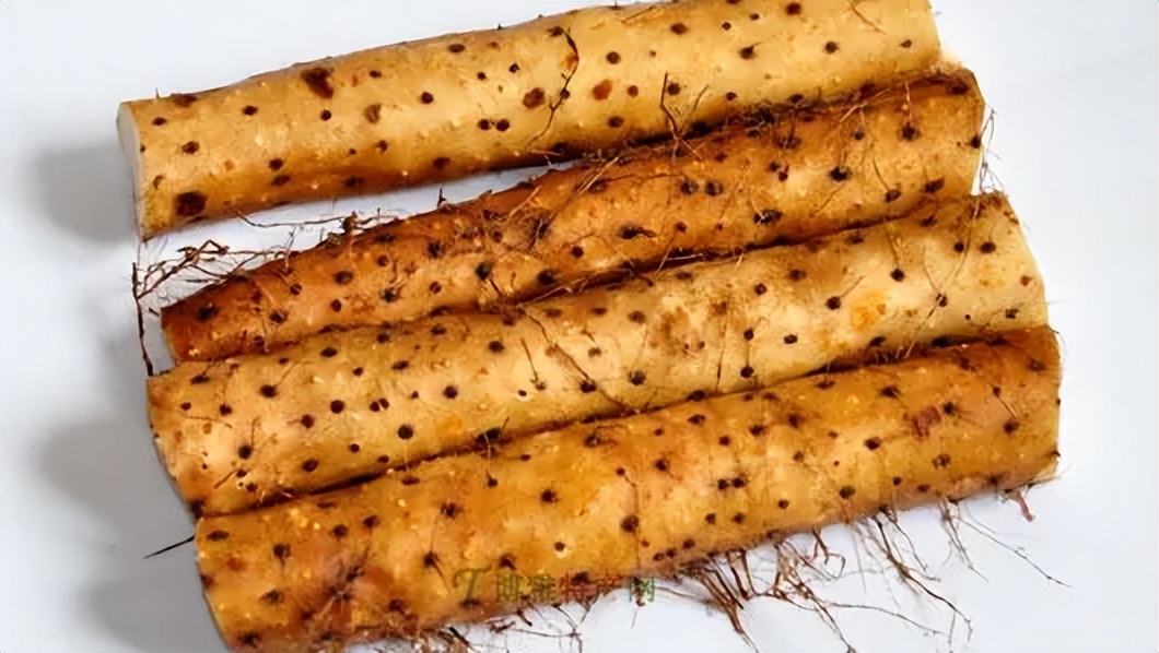 商丘知名农产品品牌,中国地理标志农产品品牌展播