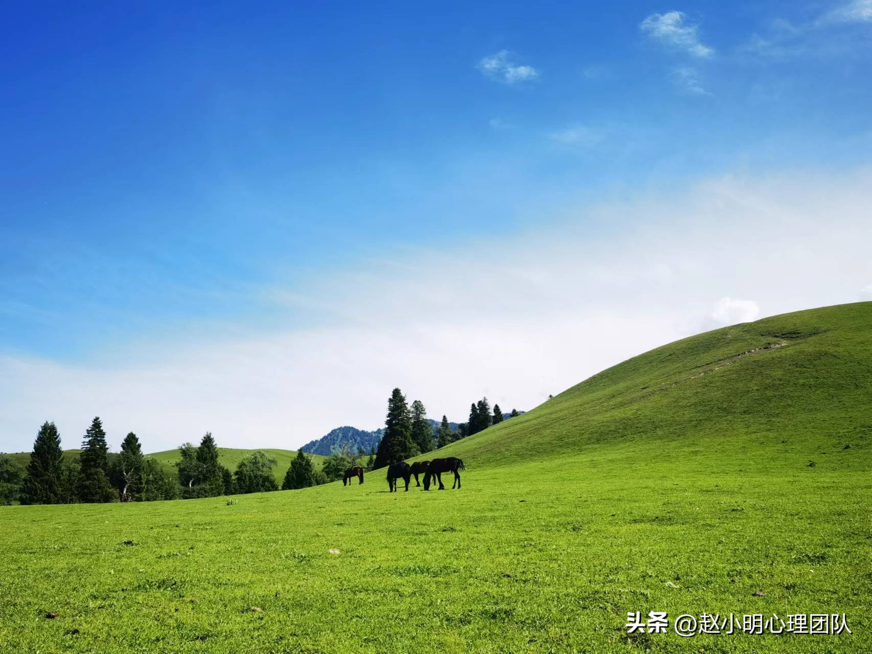 赵小明有效思维,赵小明心理学是哪个流派