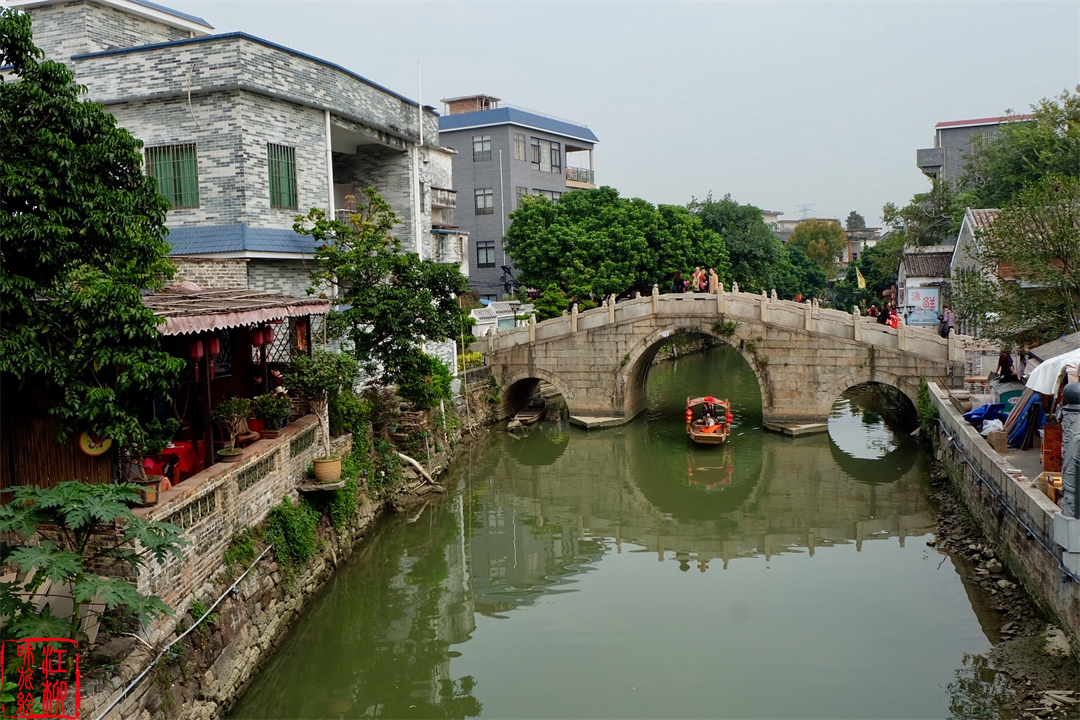 古村探寻｜广东佛山顺德一日打卡杏坛镇两个岭南水乡
