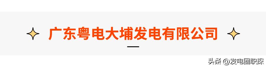 广东粤电大埔,粤电大埔