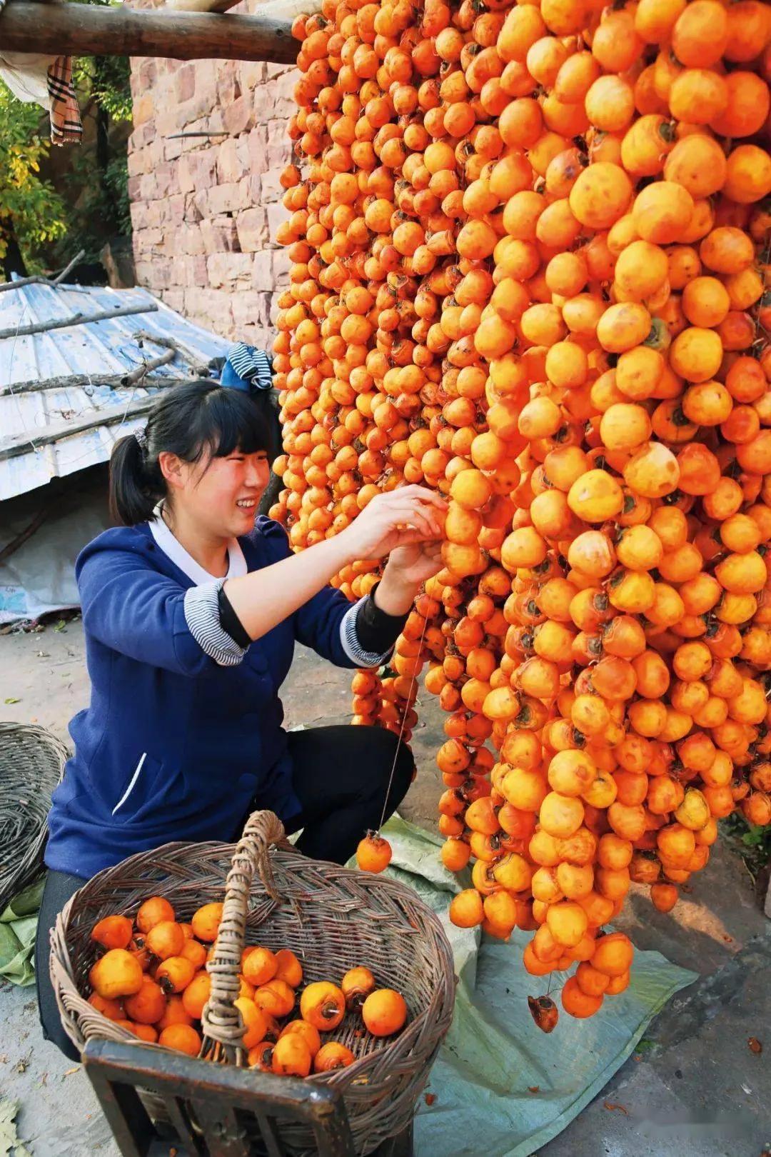 闻喜自产自销柿饼,闻喜卖柿饼的