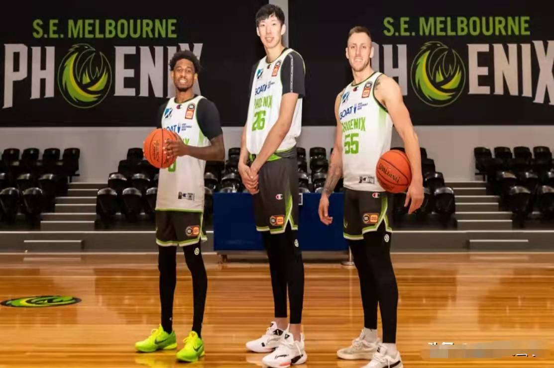 周琦今日精彩表现,周琦强势