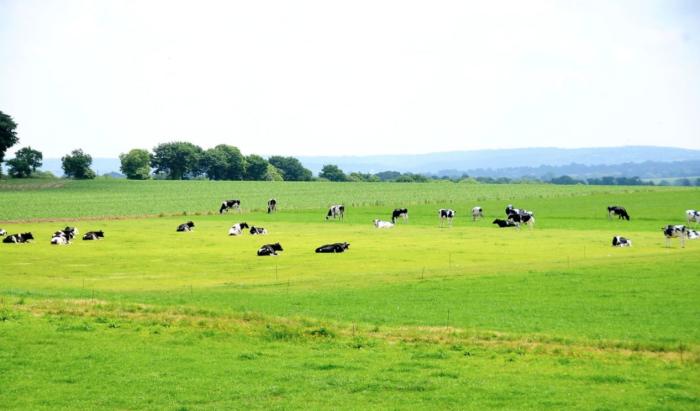 圣元的企业产品理念,圣元旗下新国标高端产品