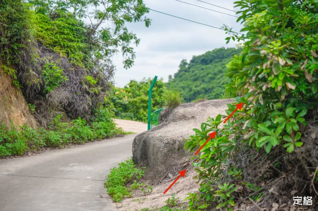 深圳比较危险的山,深圳很小众的山