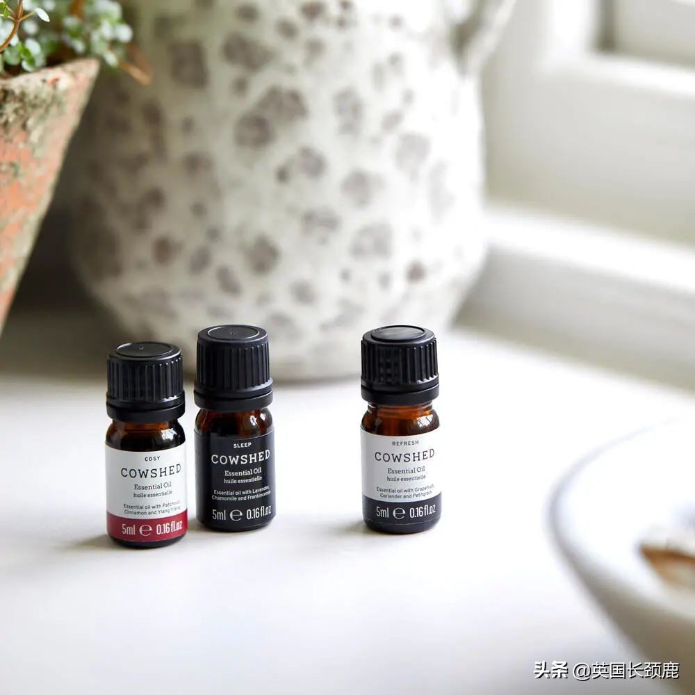 甜度不够香氛来凑：超赞香氛品牌大公开！买回家送礼物都可以