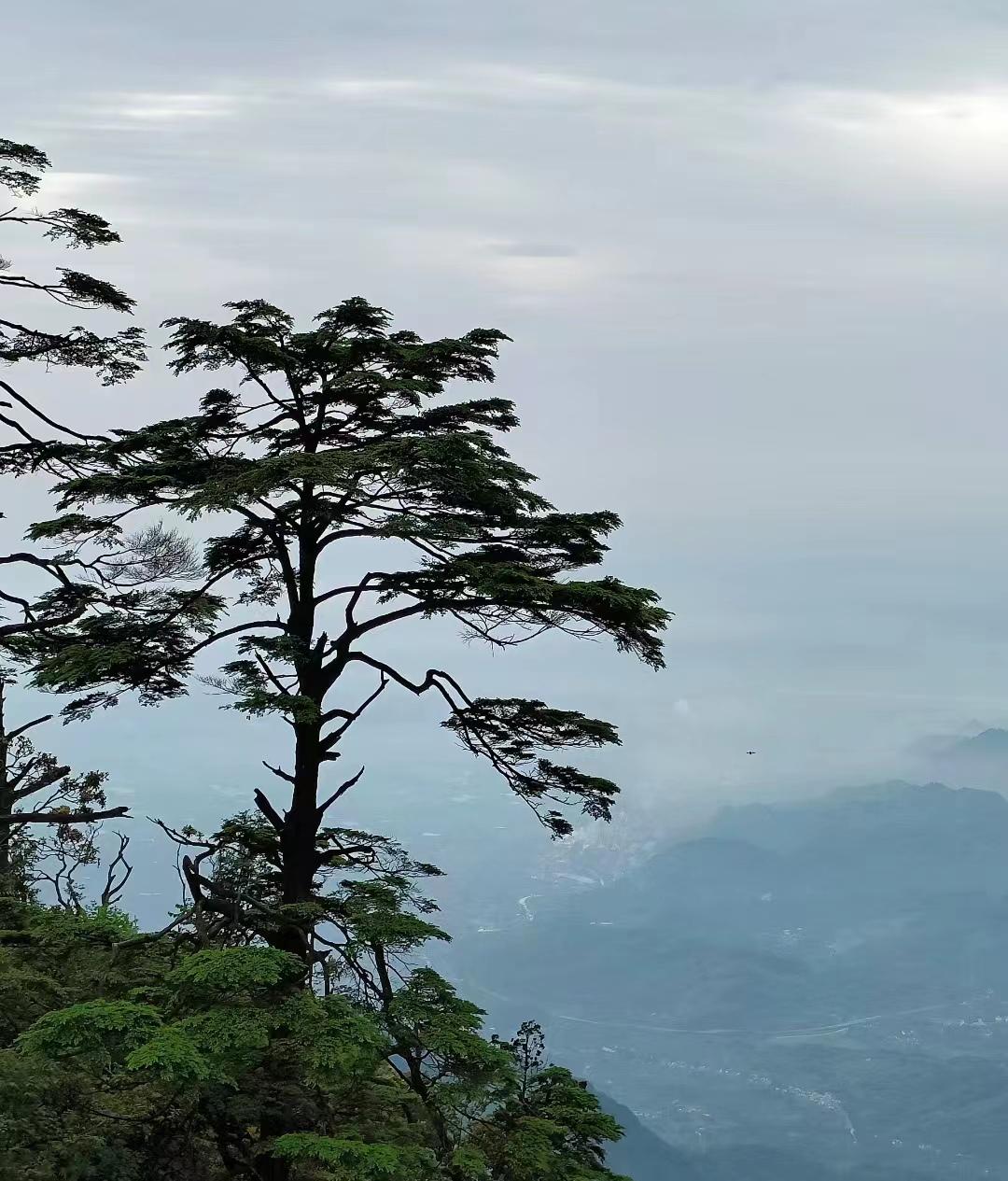 四川旅游攻略最值得推荐的景点,四川风景区旅游景点排行榜前十名